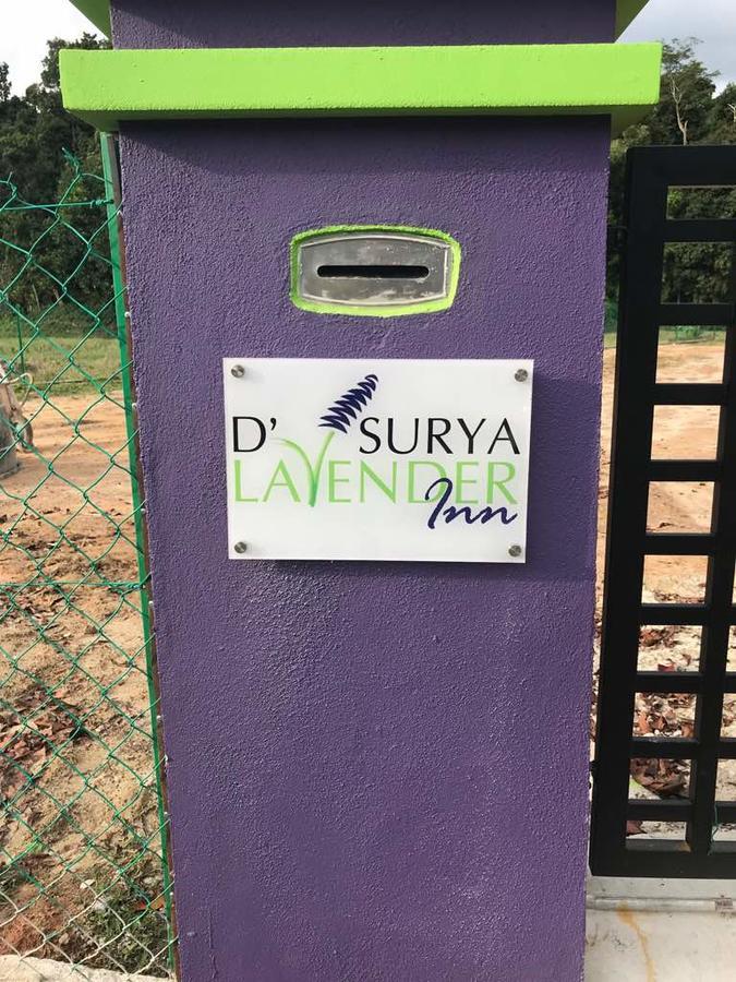 D' Surya Lavender Inn Pantai Cenang (Langkawi) Exterior foto